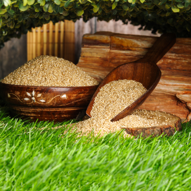 Little Millet